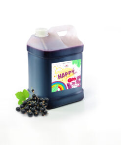 syrop granitor slushy czarna porzeczka siorbet